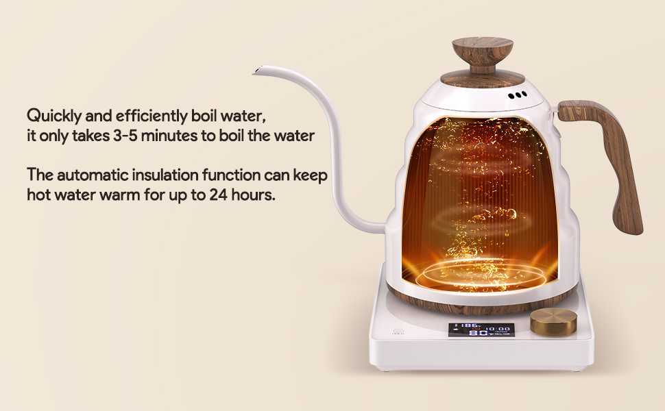 gooseneck electric kettle