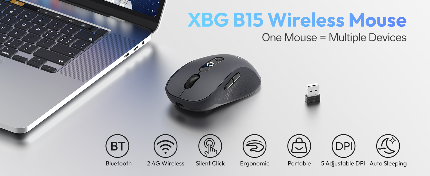 B15 MOUSE