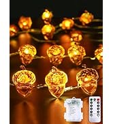 30LED Acorn Fairy Lights Battery Operated Fall String Lights Indoor Decor | Remote Control, 8 Lig...