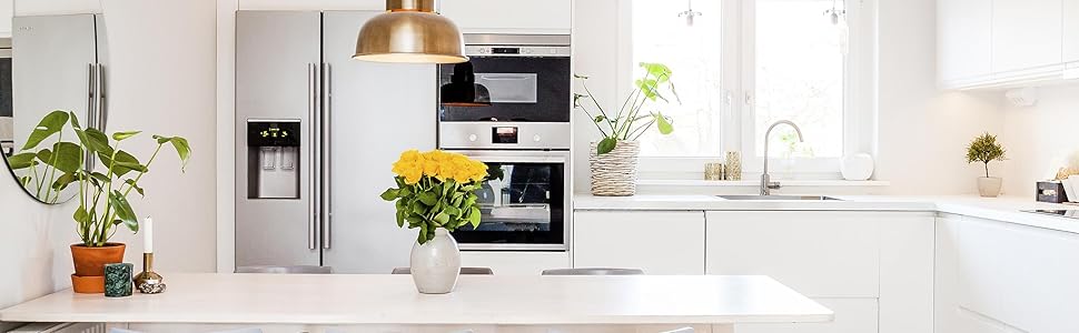 FRIDGGI Fridge & Freezer door alarm