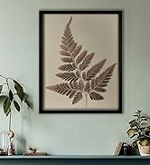 Shadowbox