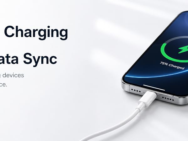 USB A to Lightning
