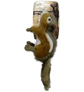 ALL FOR PAWS Squirrel Squeaky Doy Toy, Squirrel Dog Toy for Small Medium Breed, Puppy Fetch Toy w...