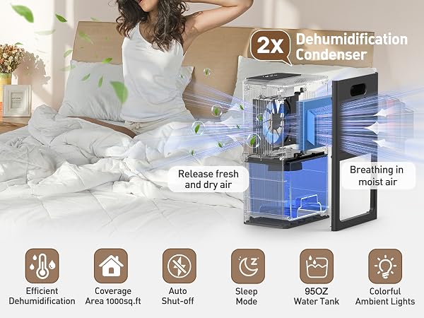 dehumidifier dehumidifier dehumidifier dehumidifier dehumidifier dehumidifier dehumidifier