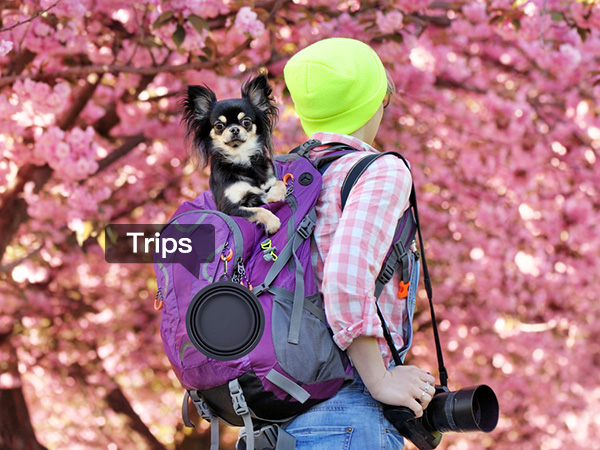 travel water bowls