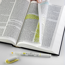 mildliner bible image