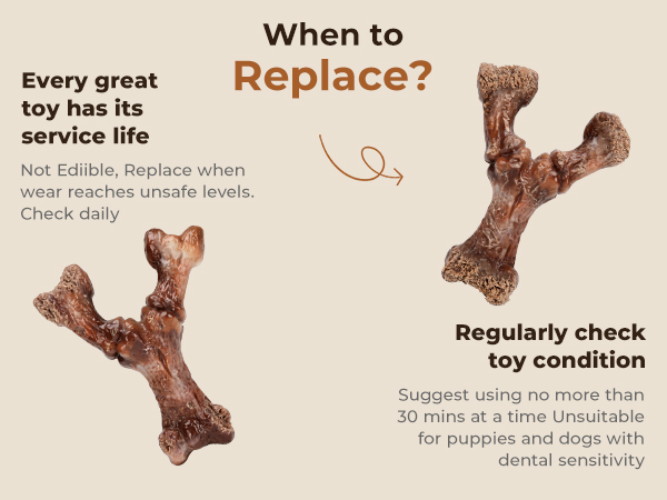 Replacement Guide: Replace Immediately When Severely Worn