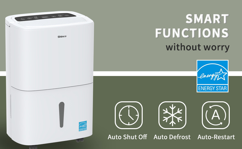 basement dehumidifier