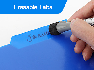 Plastic File Folders