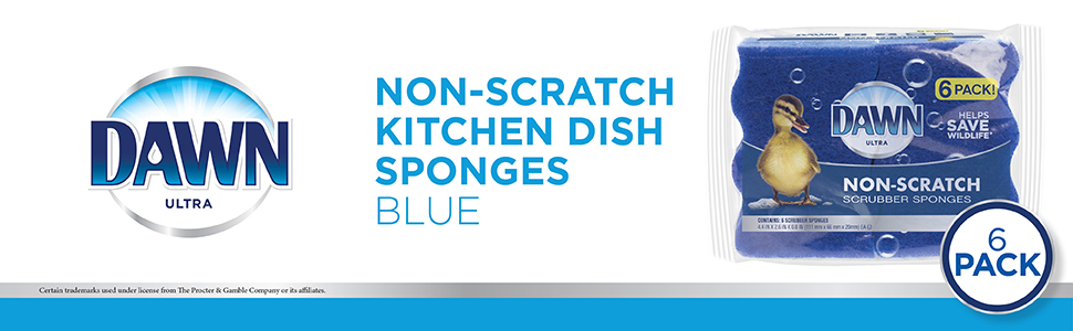 Dawn sponges