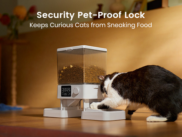 automatic cat feeder