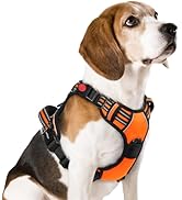 rabbitgoo Dog Harness Medium Sized, No Pull Pet Harness with 3 Buckles, Adjustable Soft Padded Do...