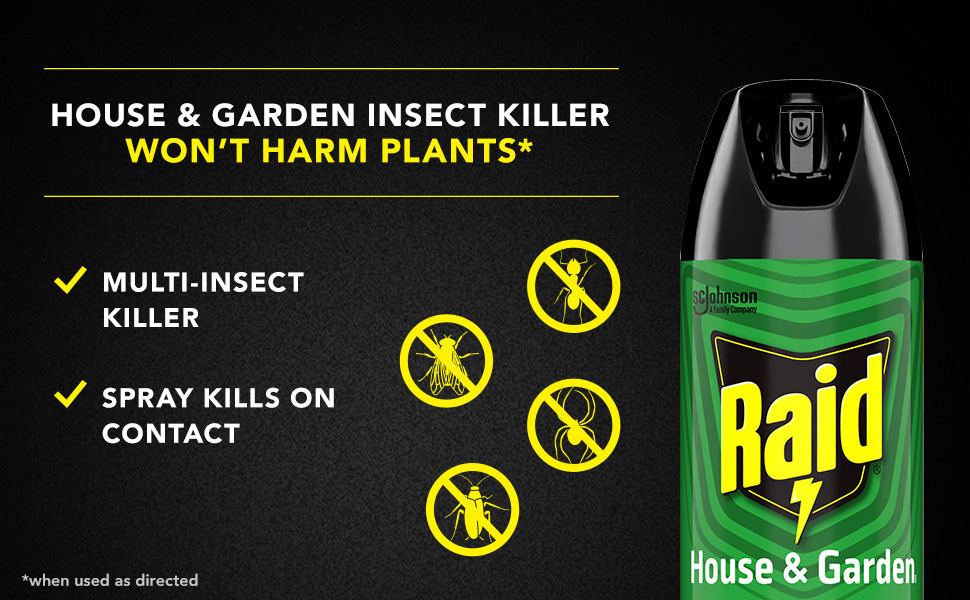 Raid House and Garden