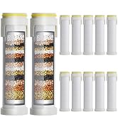 Ion drops shower head filter 12-pack,18-Stage Advanced Shower Filter Cartridge - Mineral Enrichme...
