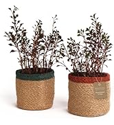 Eco Living Jute Planter Basket-Woven Jute Rope Covers for Decorating Indoor/Outdoor Succulents, S...