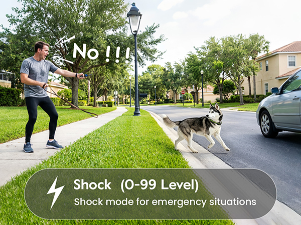 dog training collar with remote