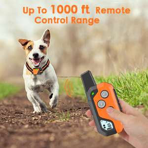 1000 ft remote control range