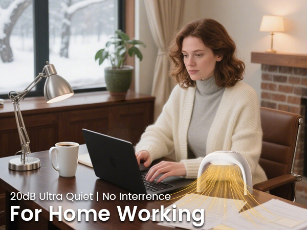 xuenair 110V 100W mouse hand warmer is 20dB ultra quiet for home working and no intefence