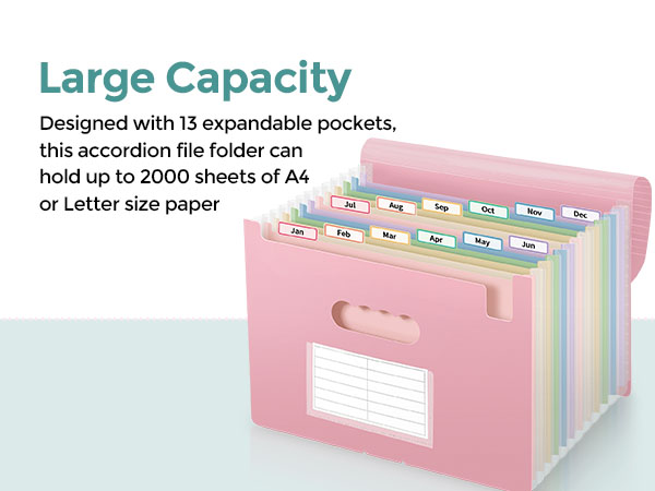 Accordion File Organizer