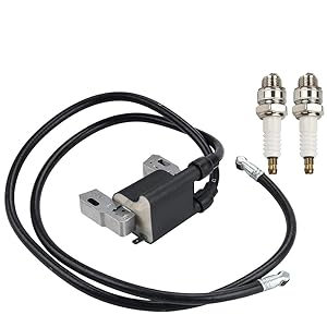 394891 Ignition Coil