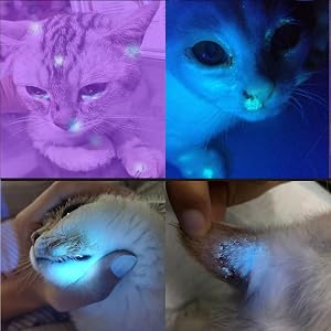 365nm ultraviolet light identification