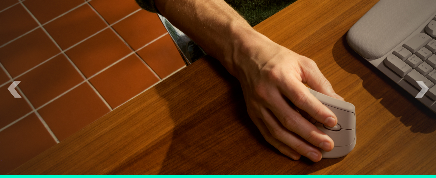 a hand holding a mouse