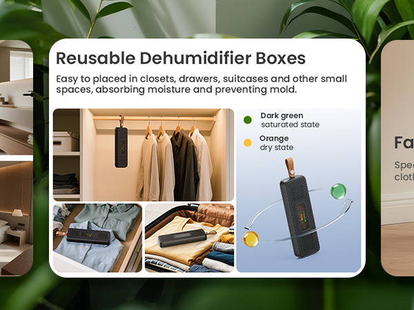 dehumidifier