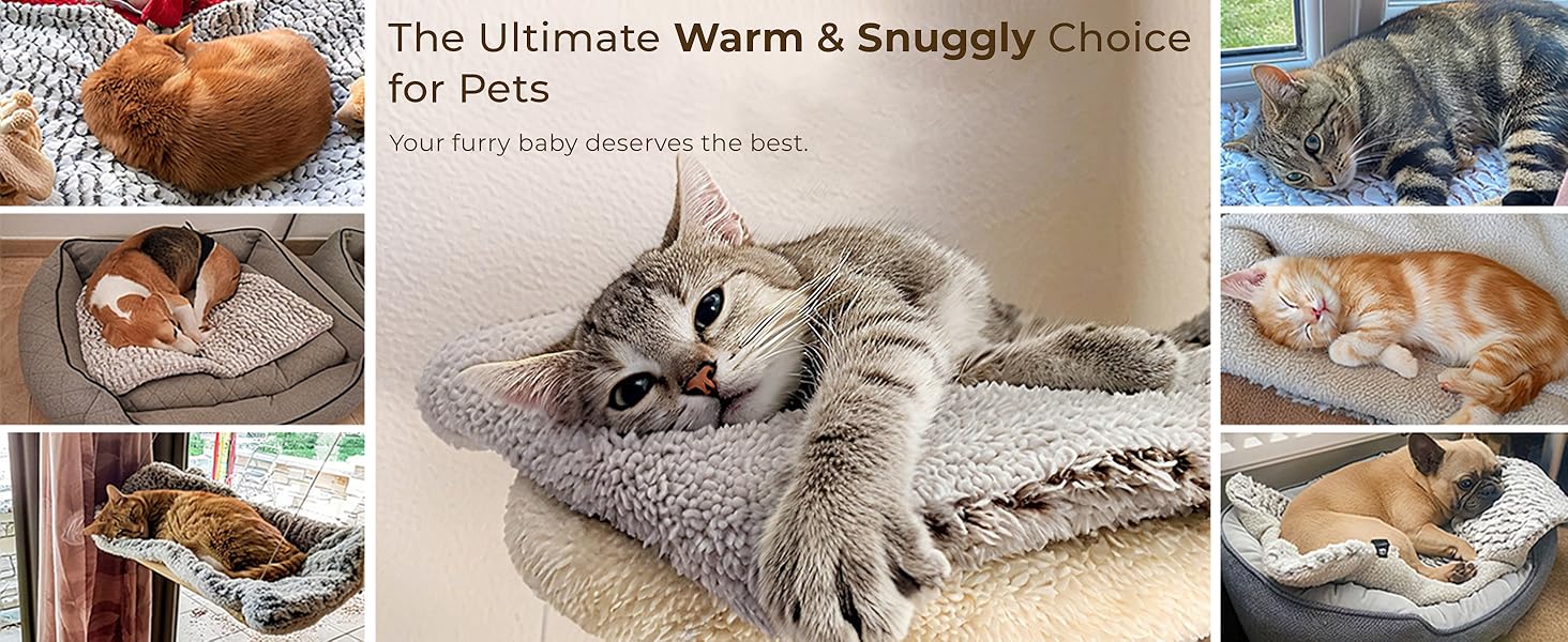 self warming heating cat bed pad mat