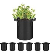 PEAKTREND 6-Pack 1 Gallon Nonwoven Grow Bags, Aeration Fabric Pots with Handles, Suitable for Gar...