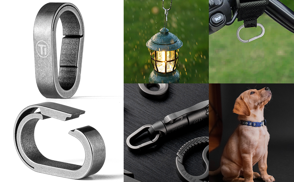 carabiner keychain clip