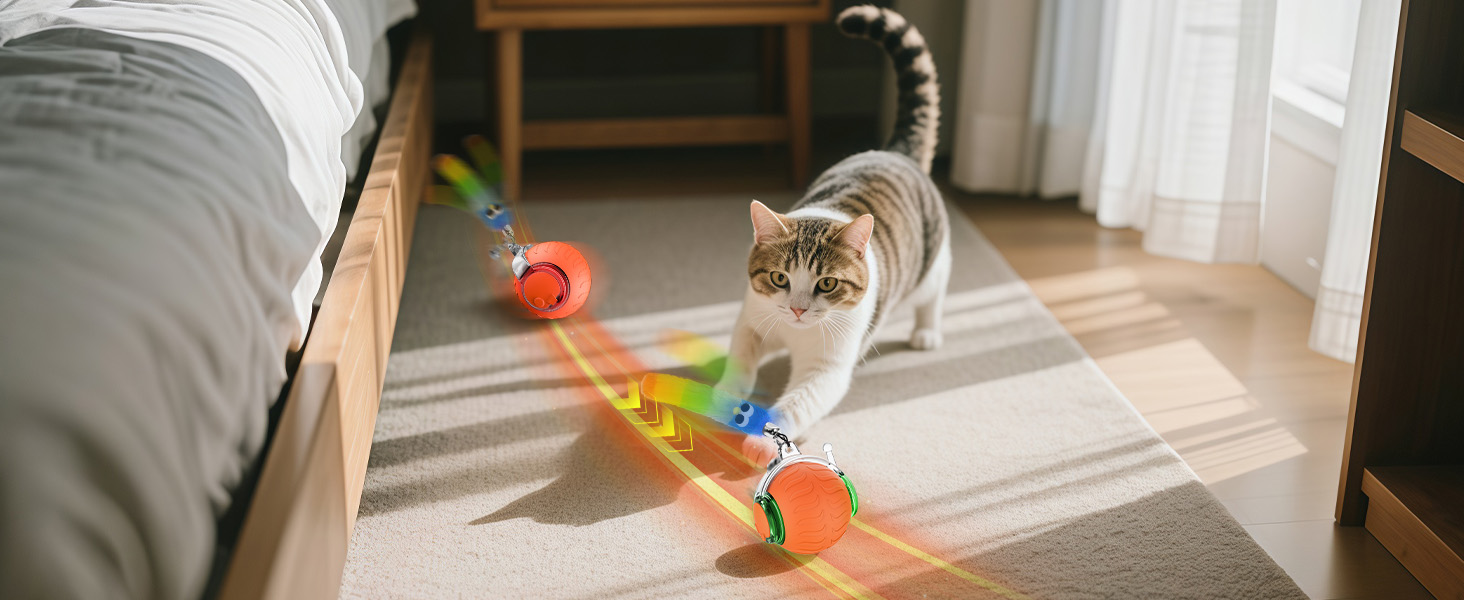 rolling cat toy