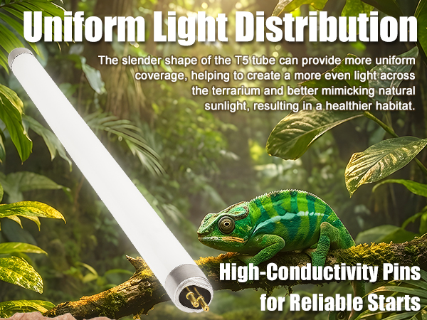 t5 reptile lamp