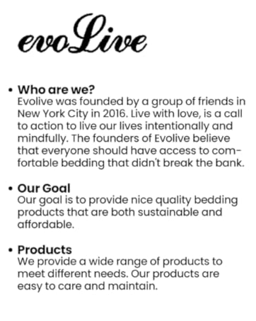 brand intro