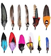 FeelfunFeather 12PCS Hat Feathers, Natural Colorful Feathers for Western Cowboy Hats,Christmas Pa...