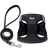 BOOMIBOO Dog Harness with Leash Set, No Pull Adjustable Reflective Step-in Puppy Pet Vest Harness...