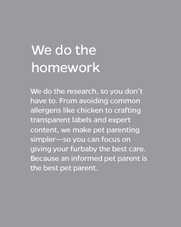 we do the homework