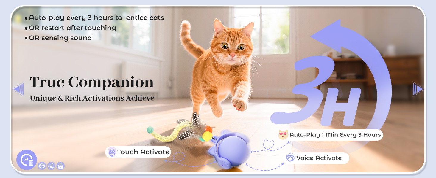Cat Toy for Indoor Adult Cats