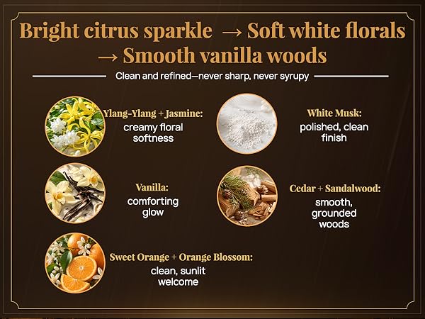 Bright citrus sparkle ? soft white florals ? smooth vanilla woods