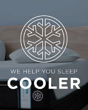 Tempur-Pedic