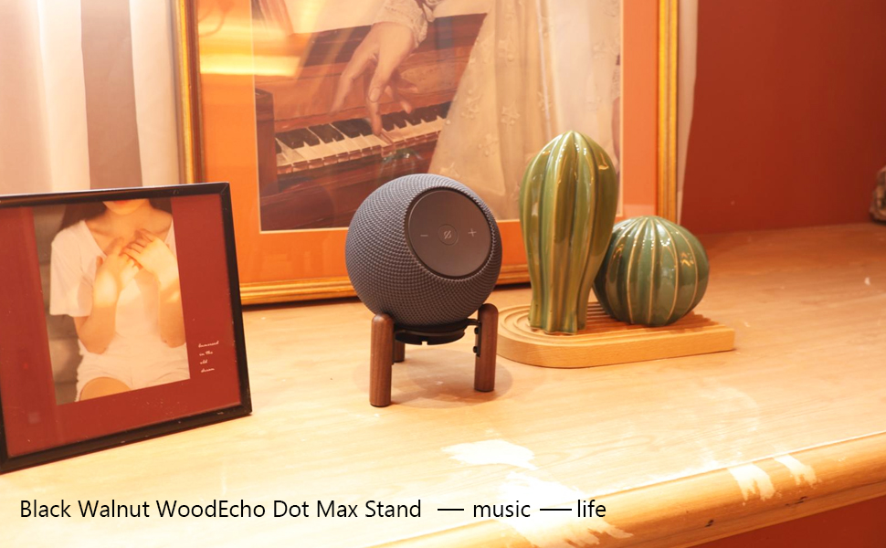 wood stand for echo dot max