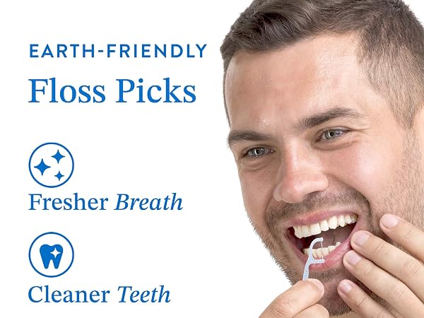floss picks, dental floss picks reusable floss pick, tooth dental, flossers, straw wheat floss picks