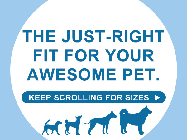 dog mat