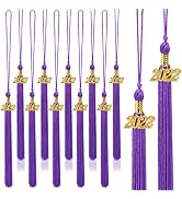 20Pcs Graduation Tassels Academic Graduation Cap Hat Tassel with 2022 Gold Charm for 2022 Graduat...