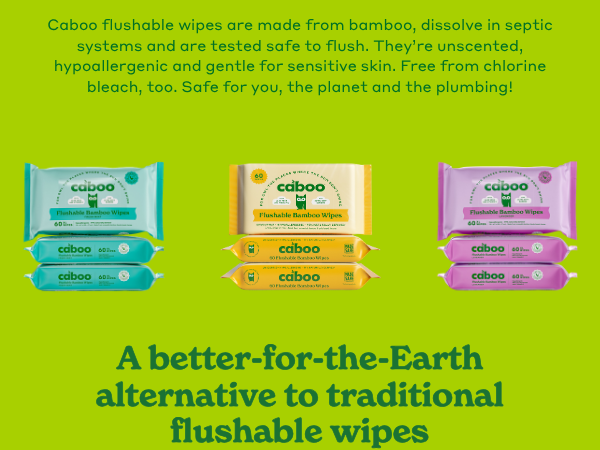 towelettes moist towels booty men women rv boats cleansing biodegradable plant papers home