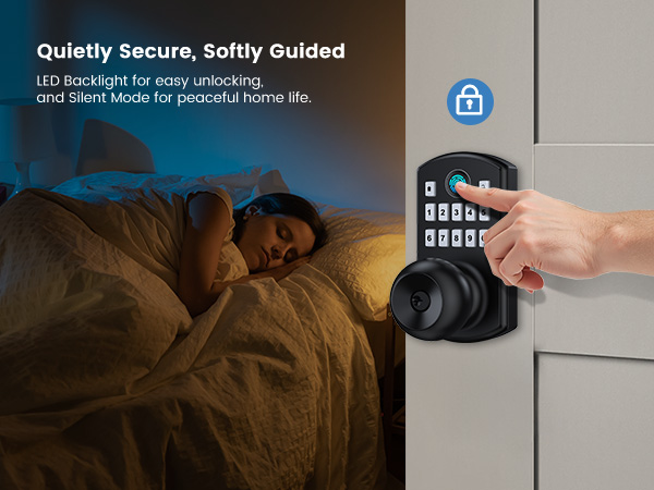 Keyless entry door lock