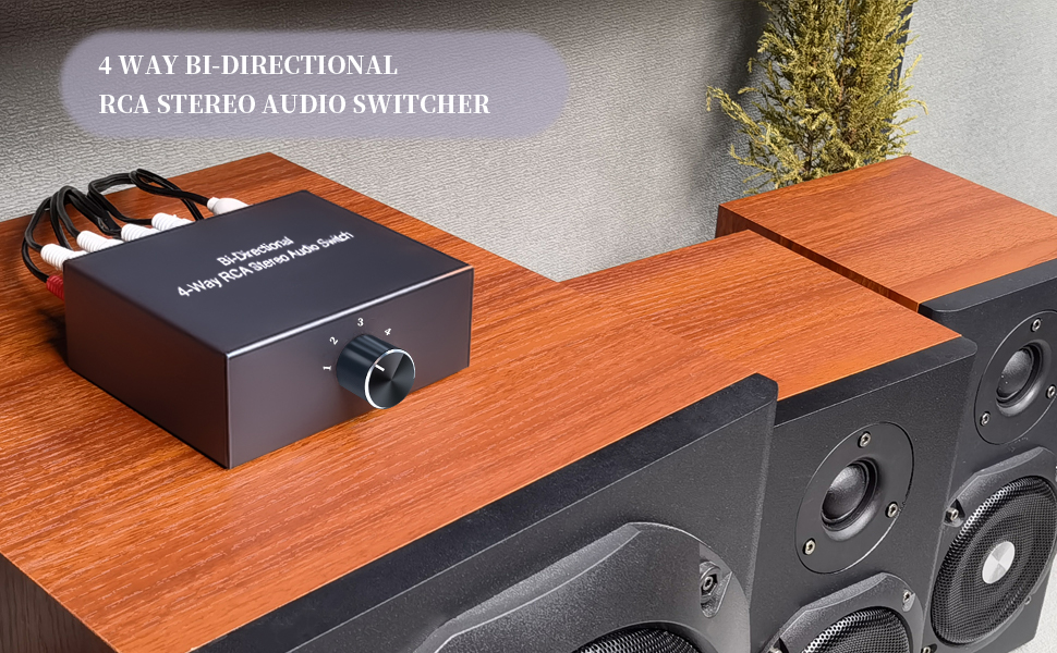 audio switch