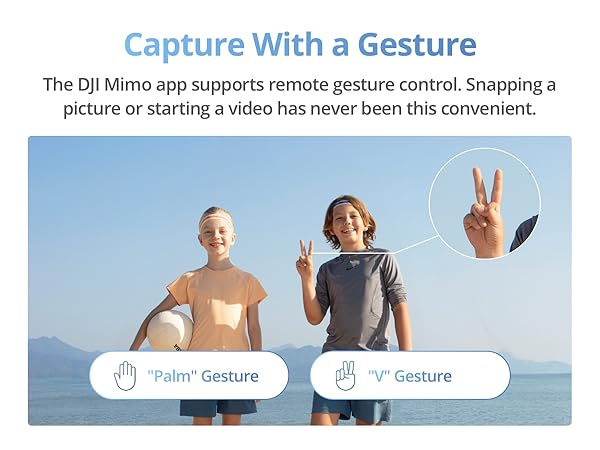 Gesture Control
