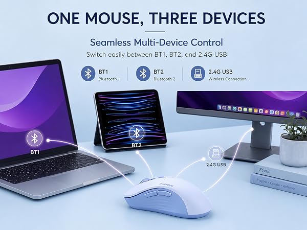 R09 mouse