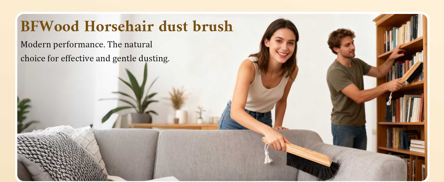 horsehair hand broom