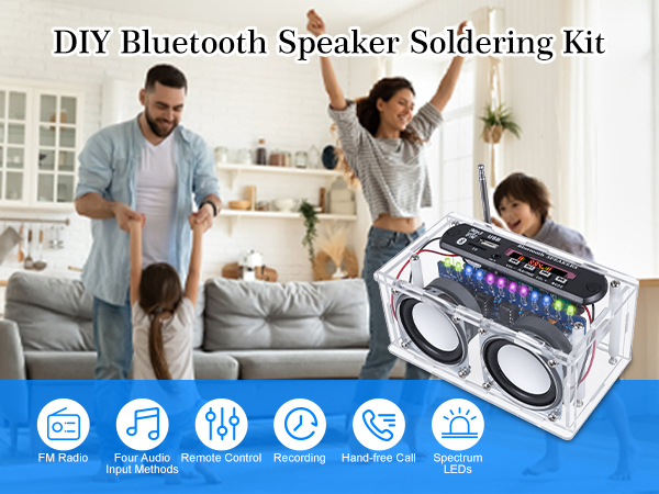 DIY ????????? Speaker Soldering Kit